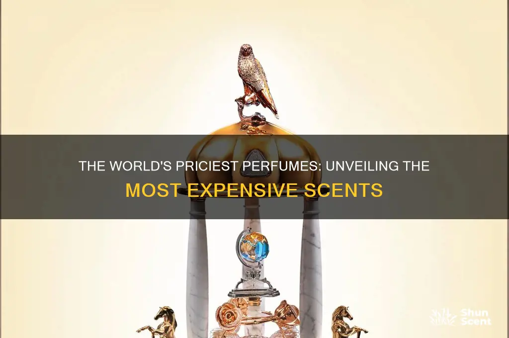 what perfume is the most expensive