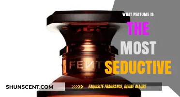 Unveiling the Most Seductive Perfumes: Scents That Captivate and Entice