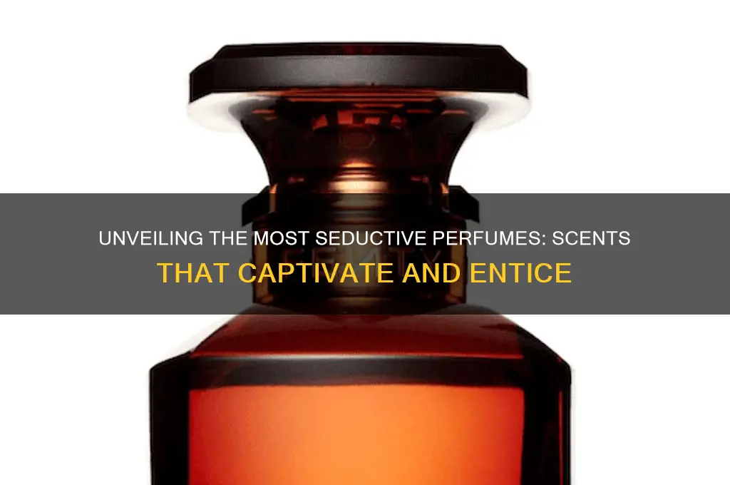 what perfume is the most seductive