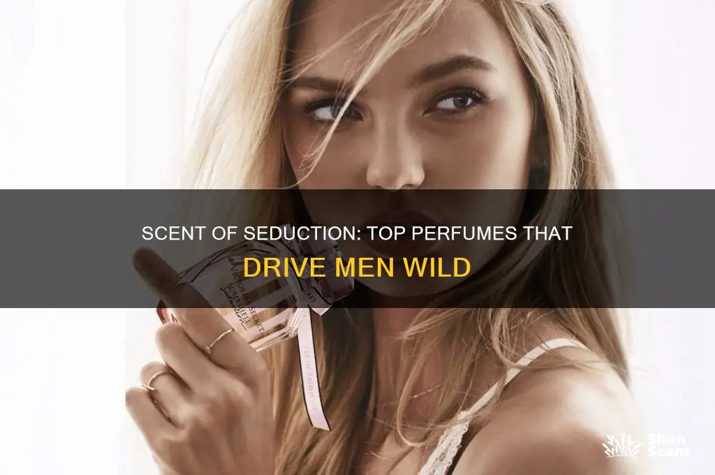 what perfume is thebiggest turn on for men