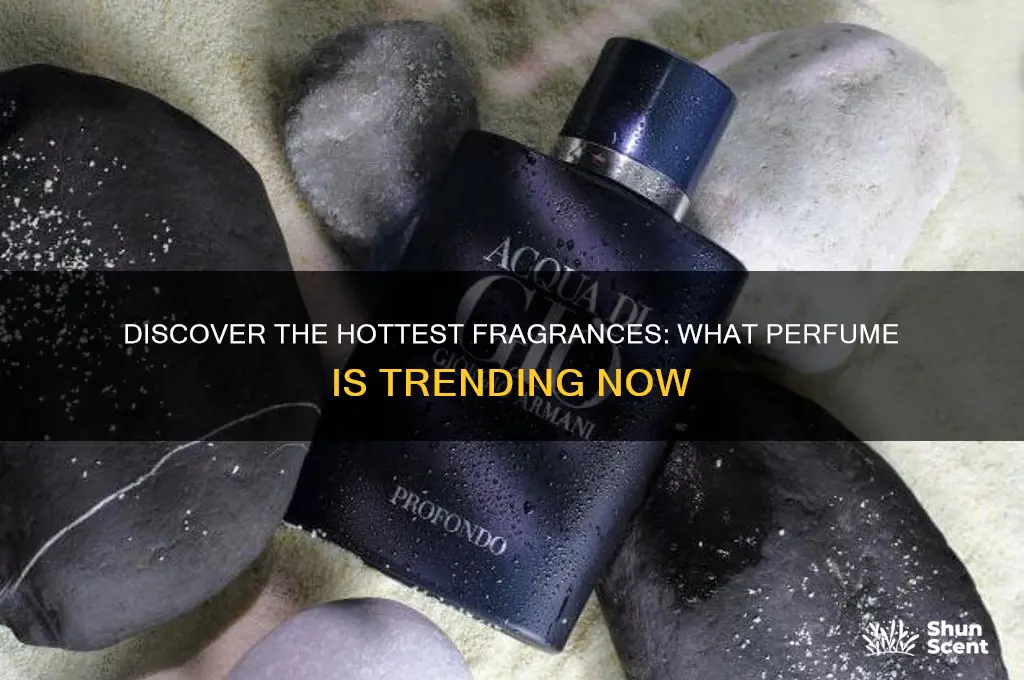 what perfume is trending