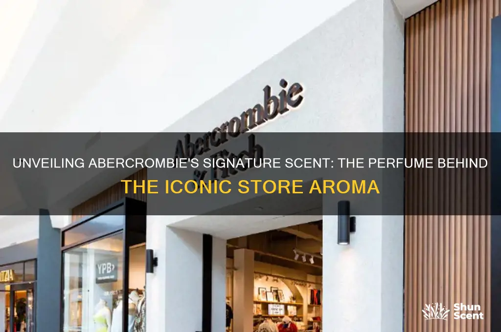 what perfume is used in abercrombie stores