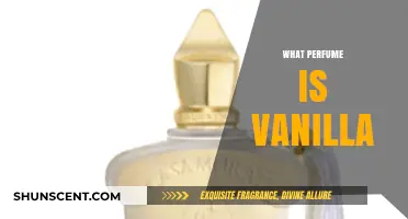 Discover the Sweet Scent: What Perfume is Vanilla?