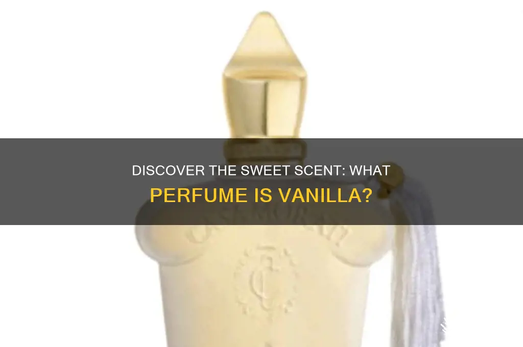 what perfume is vanilla