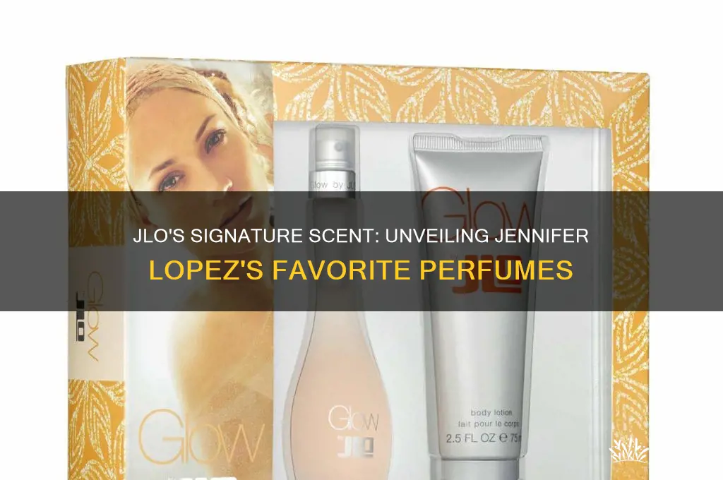what perfume jlo wear