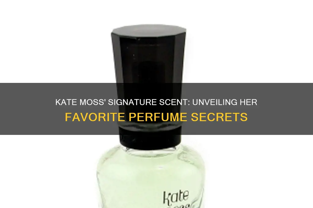 what perfume kate moss wears
