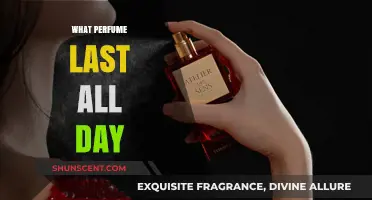 Long-Lasting Fragrances: Discover Perfumes That Stay All Day