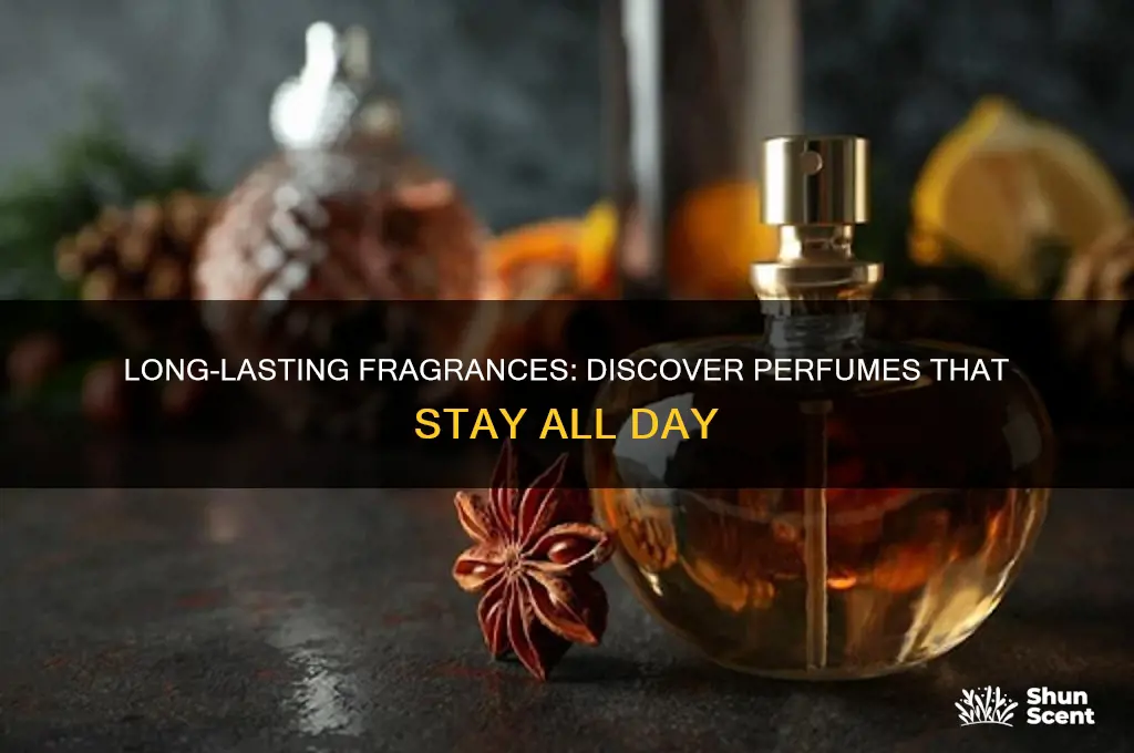 what perfume last all day