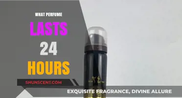 Discover Long-Lasting Perfumes: 24-Hour Scents That Endure All Day