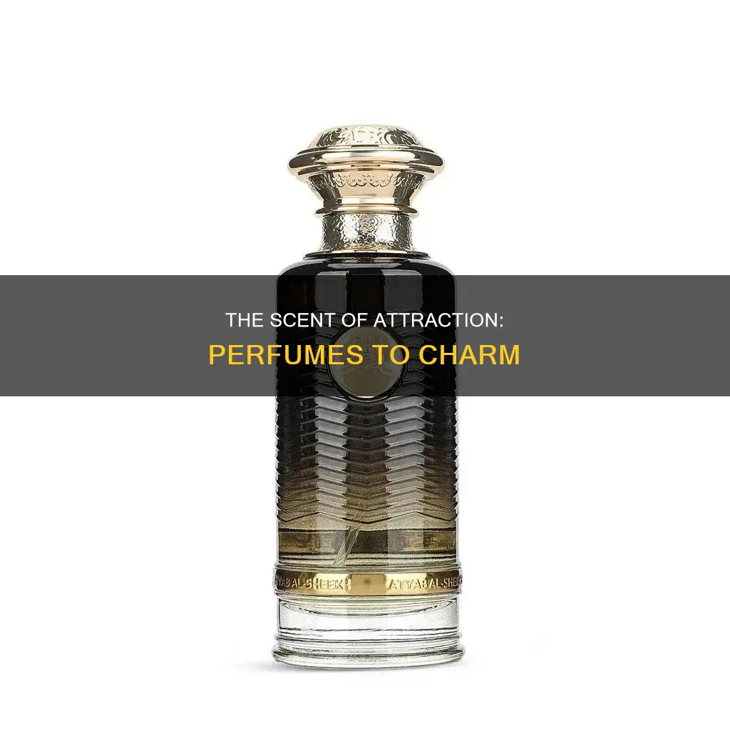 what perfume makes you more attractive
