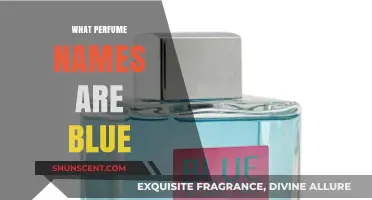 Exploring the Coolest Blue-Inspired Perfume Names and Their Meanings