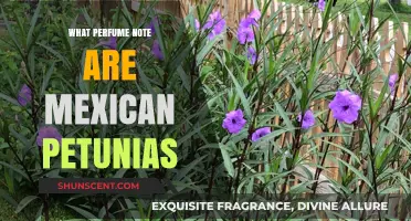Mexican Petunias' Perfume Notes: Unveiling Their Unique Floral Fragrance