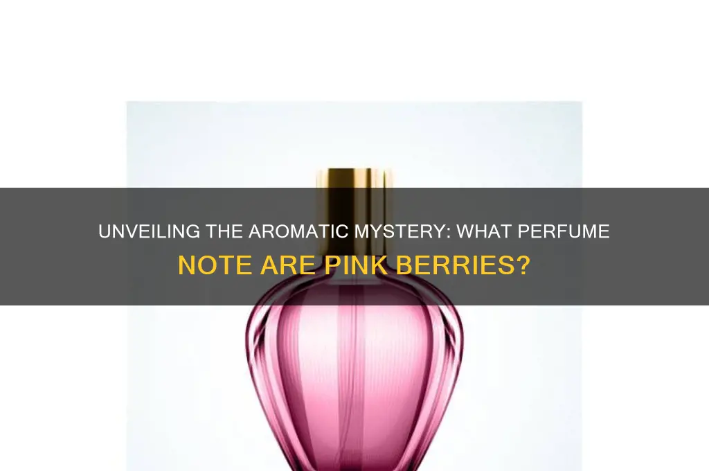 what perfume note are pink berries