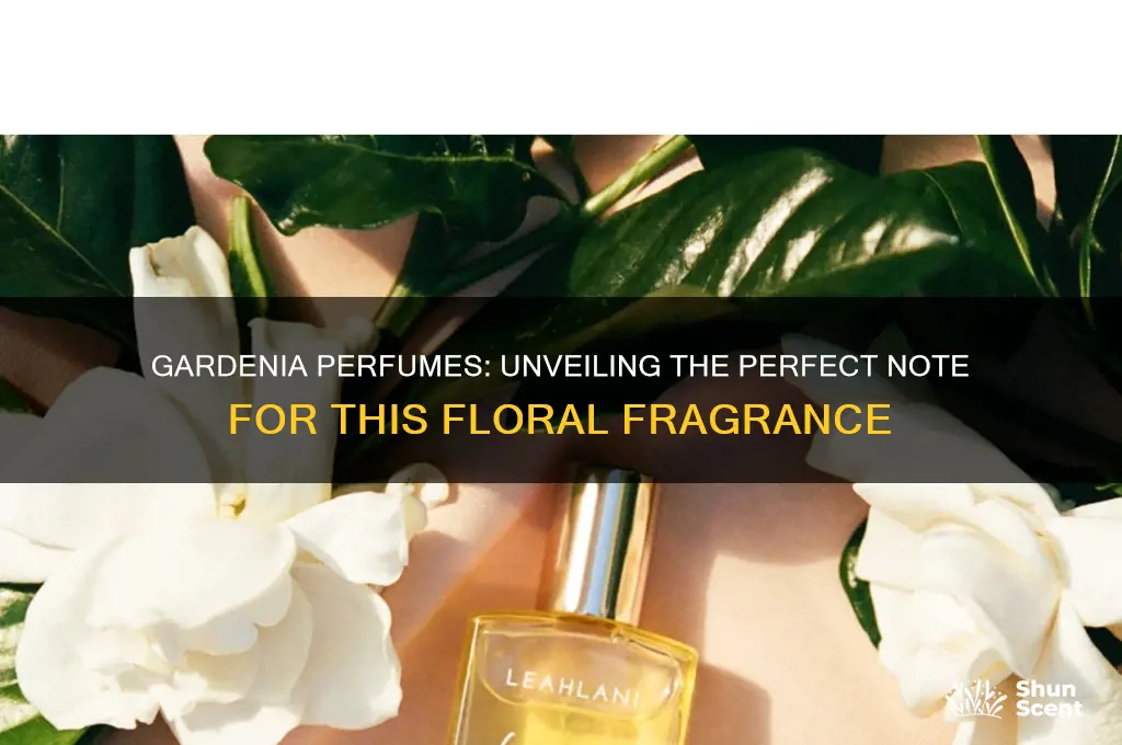 what perfume note should gardenias be