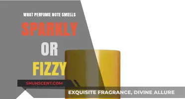 The Sparkling Scent: How to Smell Fizzy