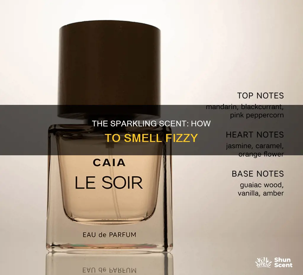 what perfume note smells sparkly or fizzy