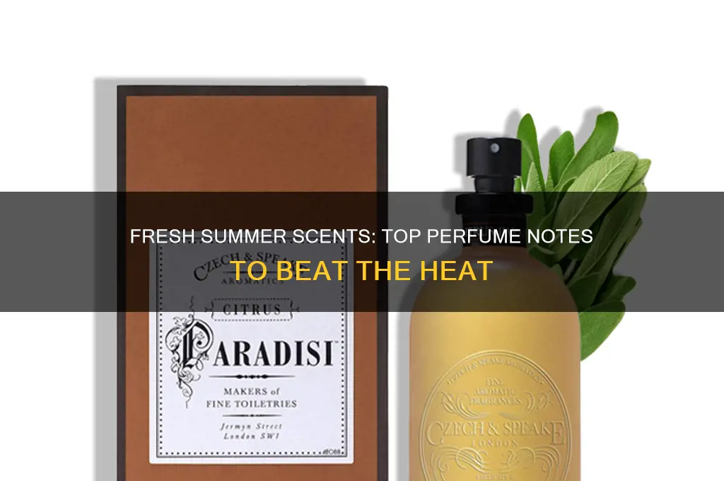 what perfume notes are good for summer