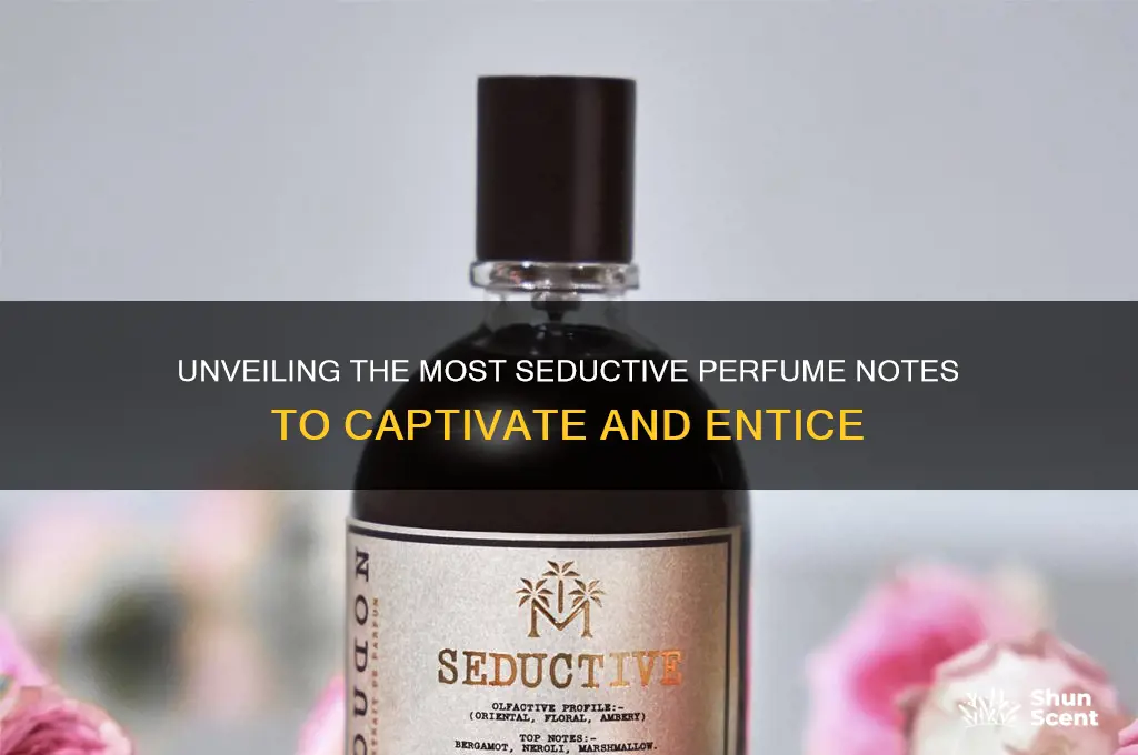 what perfume notes are seductive