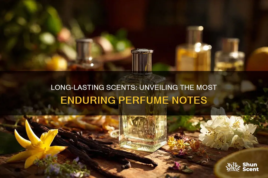 what perfume notes last the longest