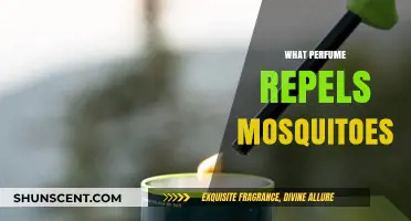 Natural Mosquito Repellent: Perfumes That Keep Bugs at Bay