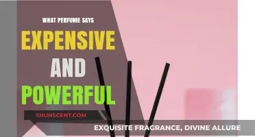 Luxury Scents: Perfumes That Exude Power and Sophistication
