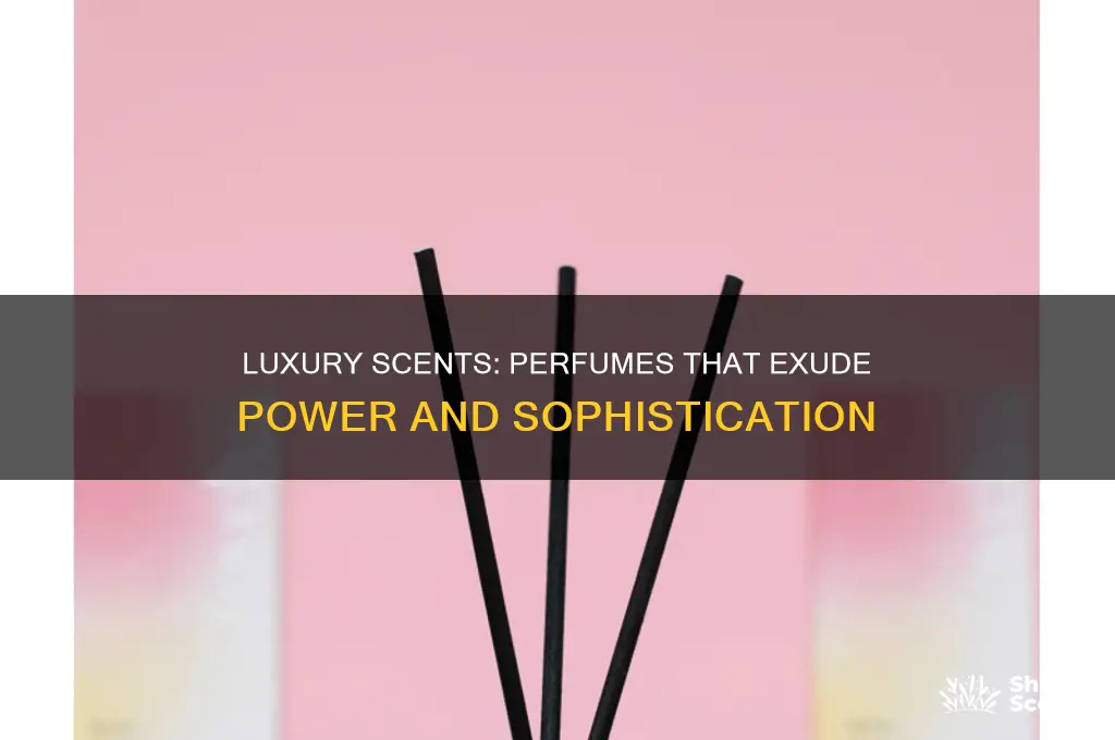 what perfume says expensive and powerful