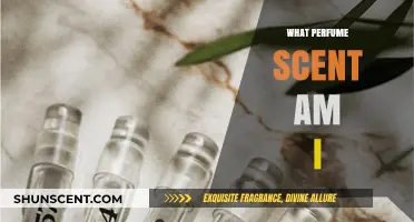 Discover Your Signature Scent: What Perfume Scent Are You?