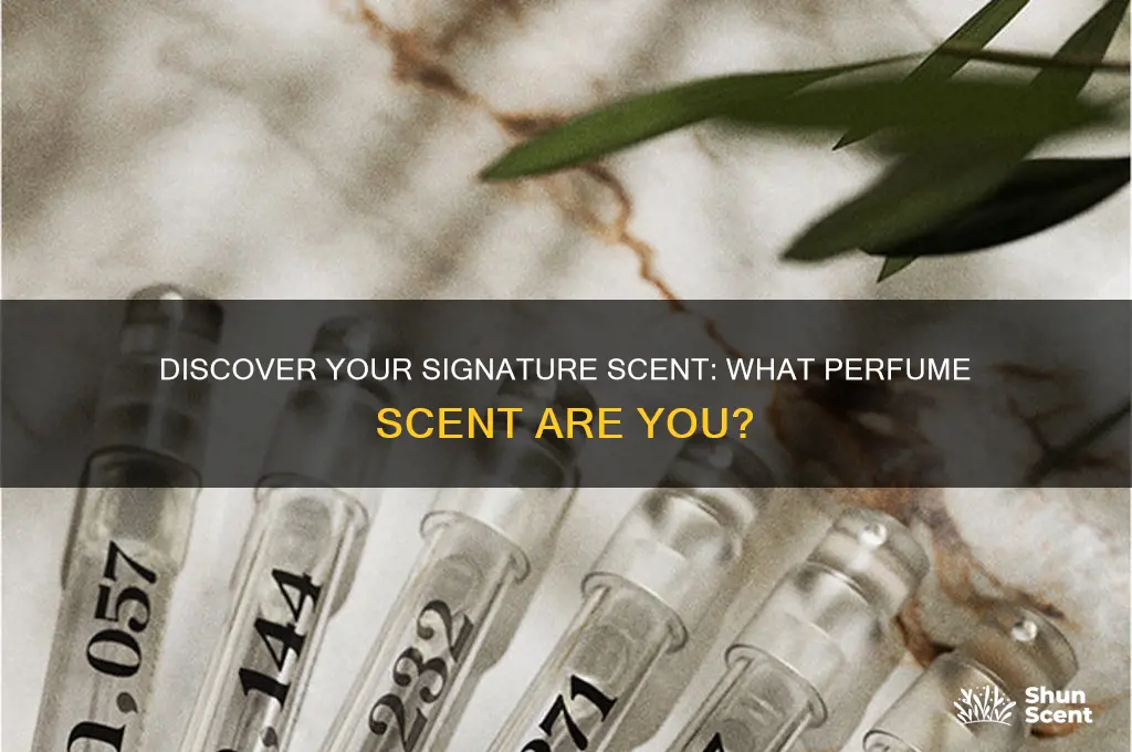 what perfume scent am i