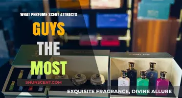 Irresistible Scents: Top Perfumes That Guys Find Most Attractive