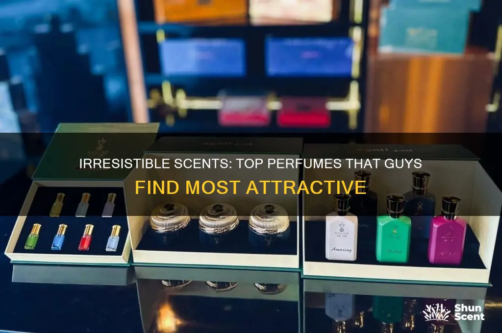 what perfume scent attracts guys the most