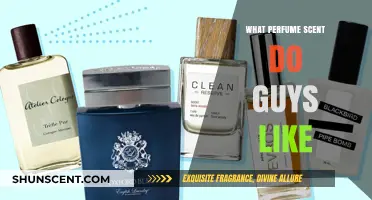 What Perfume Scents Do Guys Like? Top Picks Revealed