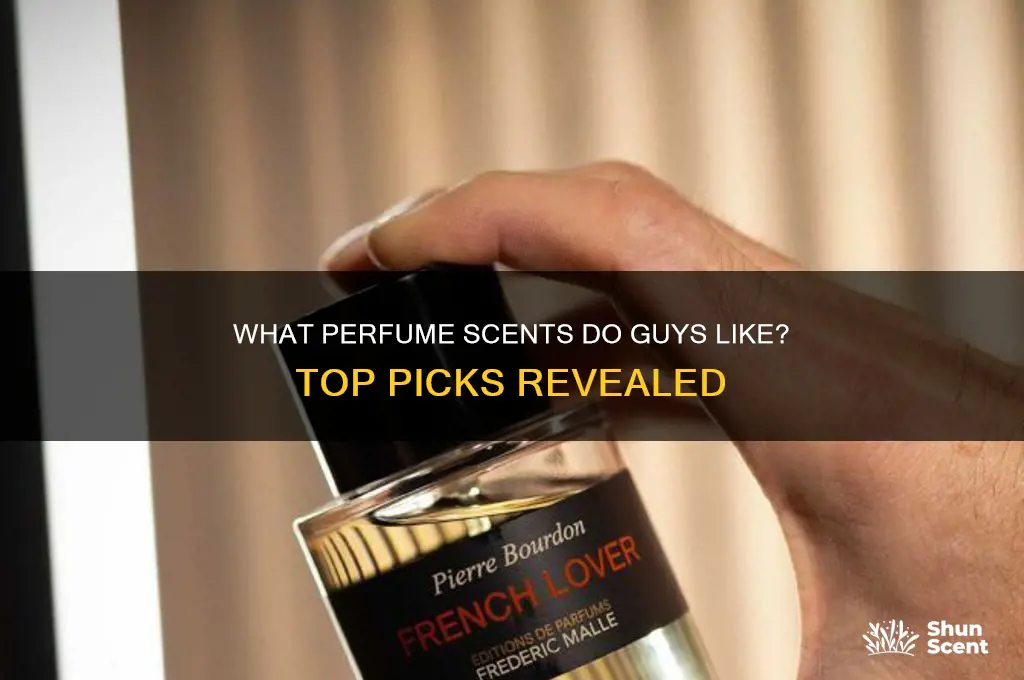 what perfume scent do guys like