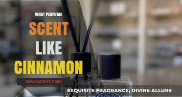 Warm and Spicy: Discover Perfumes with a Cinnamon-Like Scent
