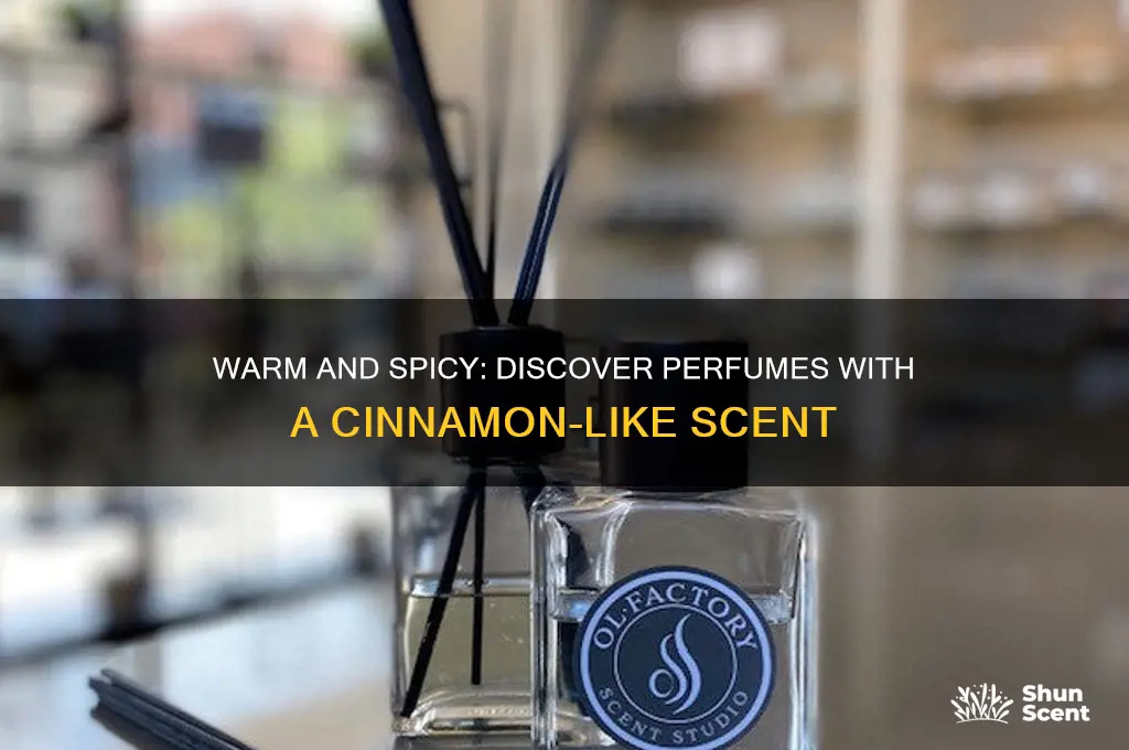 what perfume scent like cinnamon