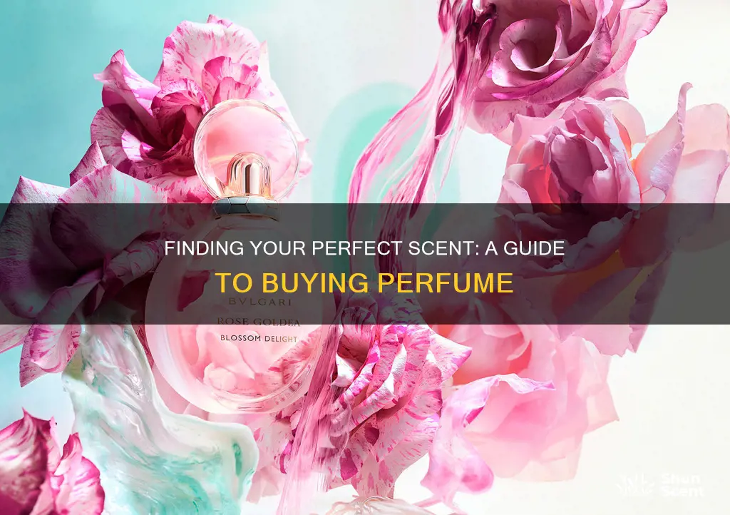 what perfume should i buy