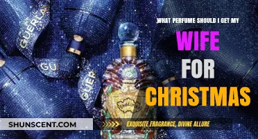 Perfect Christmas Perfume Gifts: Find the Ideal Scent for Your Wife