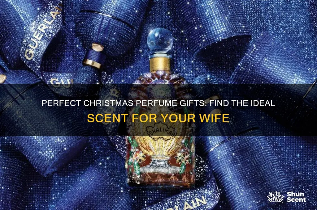 what perfume should i get my wife for christmas