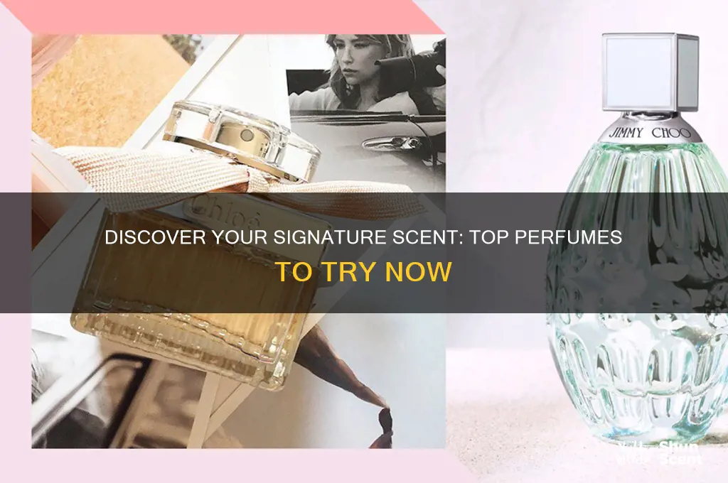 what perfume should i try