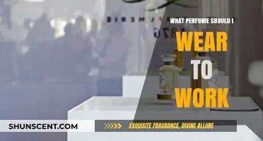Professional Scents: Choosing the Perfect Work-Friendly Perfume for You