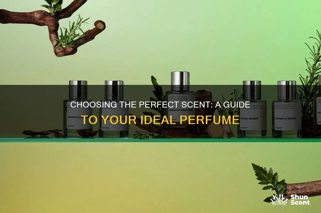 what perfume should we wear