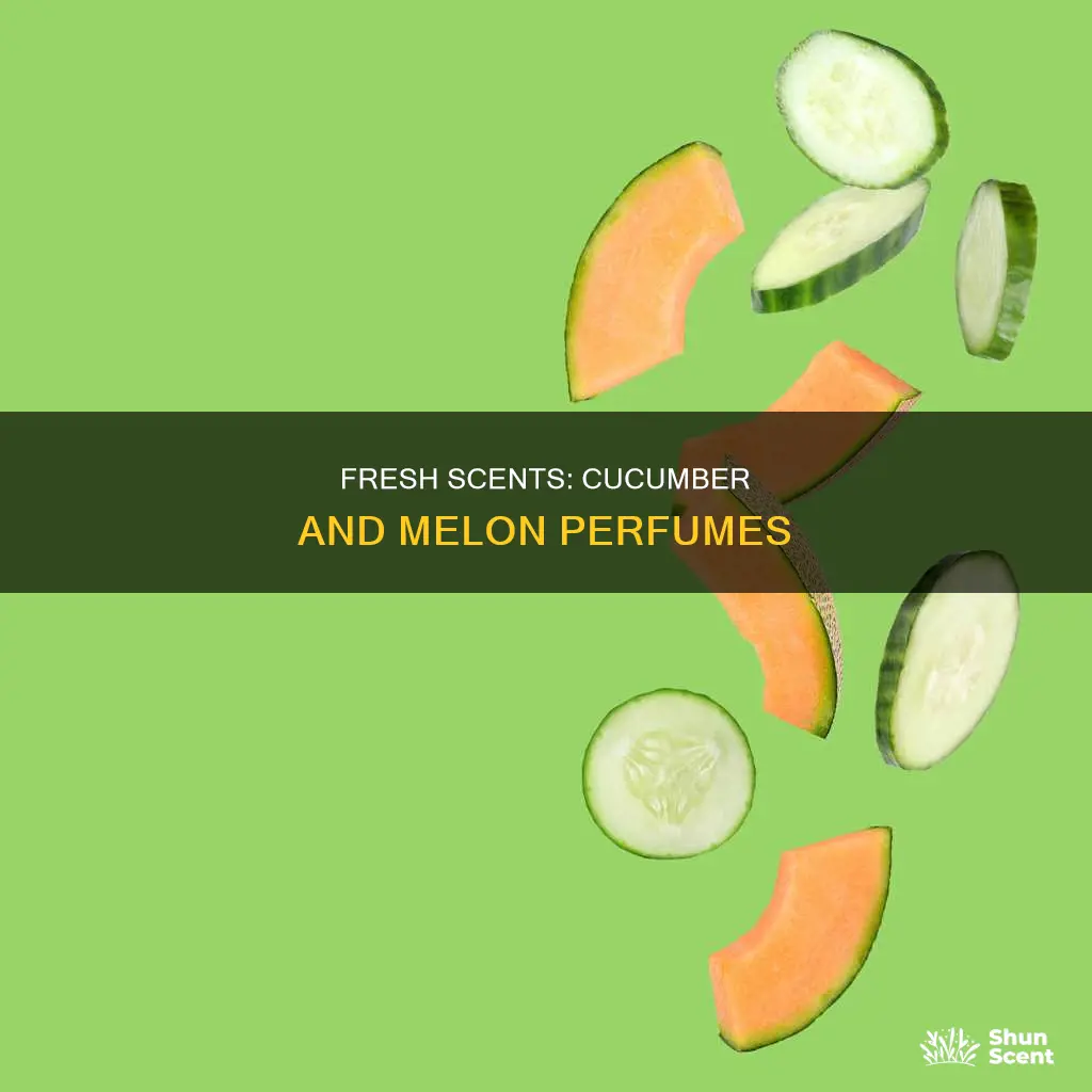 what perfume smell cucumber and melon