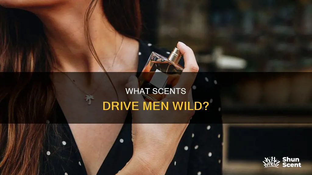 what perfume smell do guys like