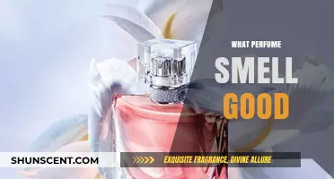 The Art of Smelling Good: Choosing the Right Perfume