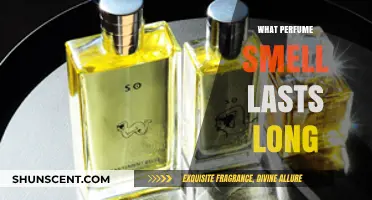 Long-Lasting Scents: How to Make Your Perfume Smell Last
