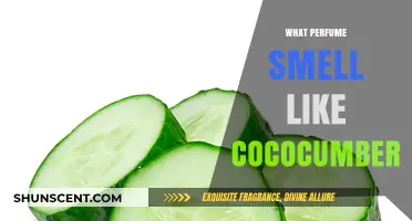 Scents of Summer: Coco-Cucumber Perfumes