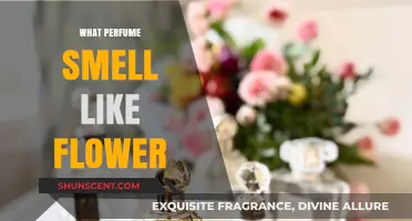 Floral Fragrance: Discover the Best Flower-Inspired Perfumes
