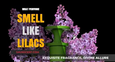 Lilac Scents: Fragrances That Evoke Lilacs