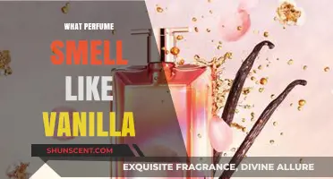 Vanilla-Based Perfumes: The Sweet Smell of Success