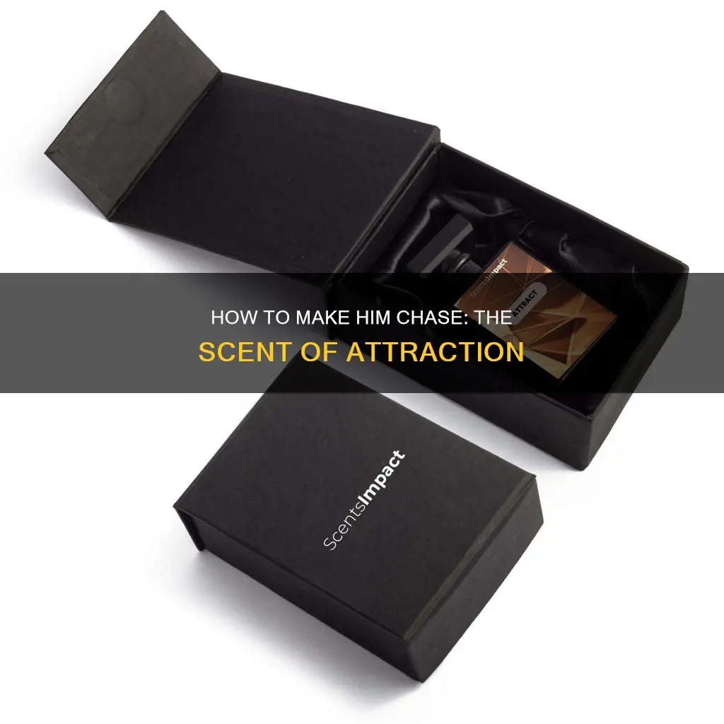 what perfume smell makes guys chase after me