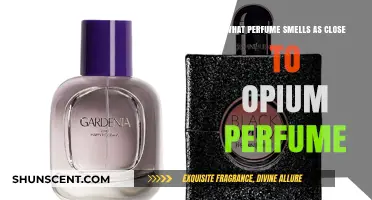 Opium Perfume: Exploring Scents with Similar Aromatic Profiles